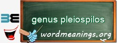 WordMeaning blackboard for genus pleiospilos